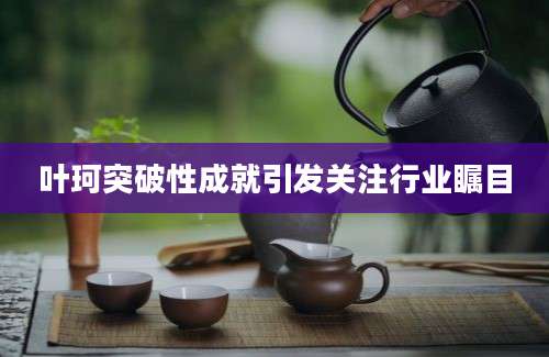 叶珂突破性成就引发关注行业瞩目