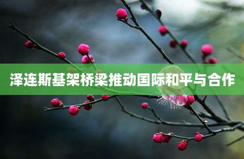 泽连斯基架桥梁推动国际和平与合作