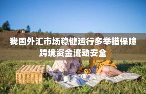 我国外汇市场稳健运行多举措保障跨境资金流动安全