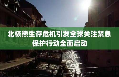 北极熊生存危机引发全球关注紧急保护行动全面启动